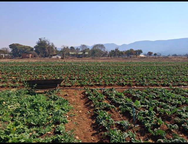 LAND FOR SALE IN RIETFONTEIN